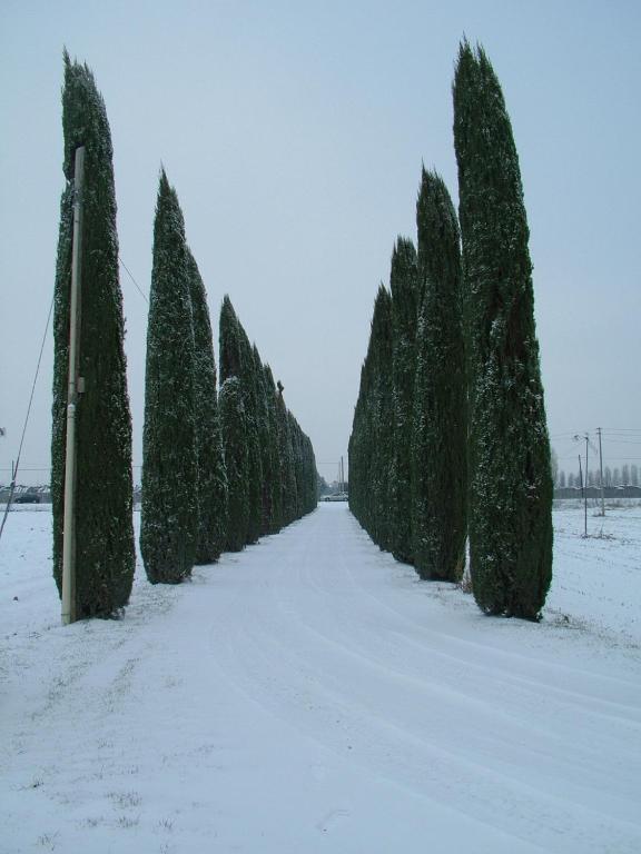Penzion Bb Mambrotta San Martino Buon Albergo Exteriér fotografie
